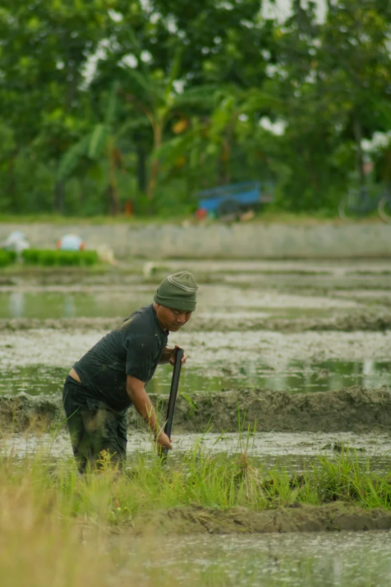 Pemalang dan Gagasan Kawasan Industri Koperasi